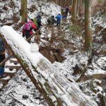 雪の金剛山登山道