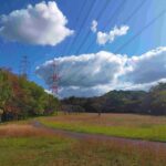 光明池 野鳥の森公園