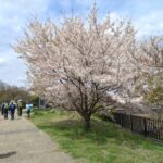 天野川「水辺プラザ」