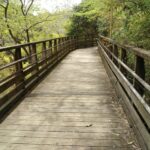 森林鉄道風歩道橋(私市 府民の森 ほしだ園地)