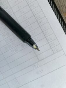 ハゴロモ（幼虫）