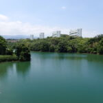 光明池大橋周辺