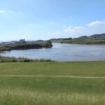 大和川と石川の合流地点