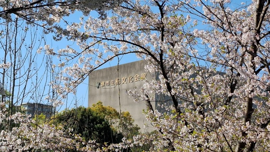 桜咲く栂文化会館